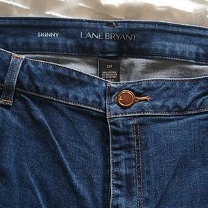 Lane Bryant jeans